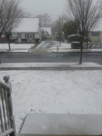 A snowy scene in Croydon Acres. (Rachael Kowalsky)