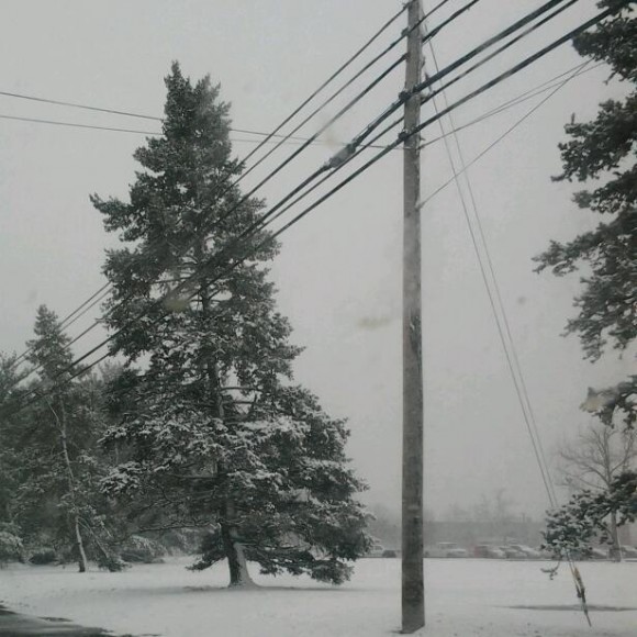 A winter scene in spring on Bath Road at Silver Lake Nature Center in Bristol Township. (Michelle Auty)