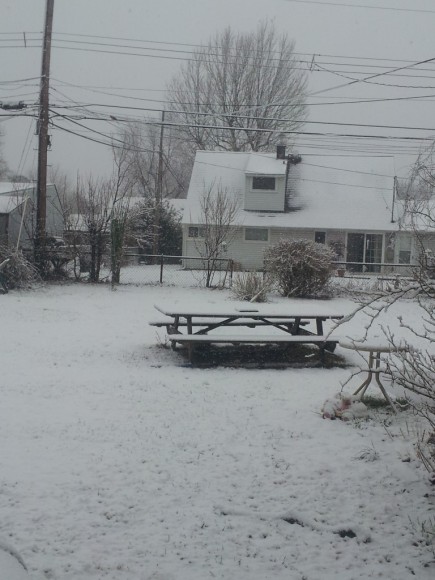 Snow Monday morning in Levittown. (Debbie Letham)