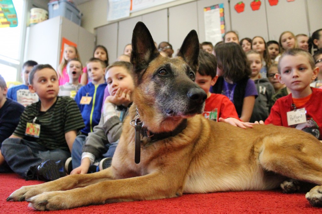Police Dog Visits Elementary Students