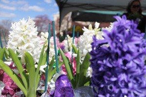 Flowers for sale outside Levittown Fire Company No. 1 in Falls Township last year. Credit: Tom Sofield/LevittownNow.com