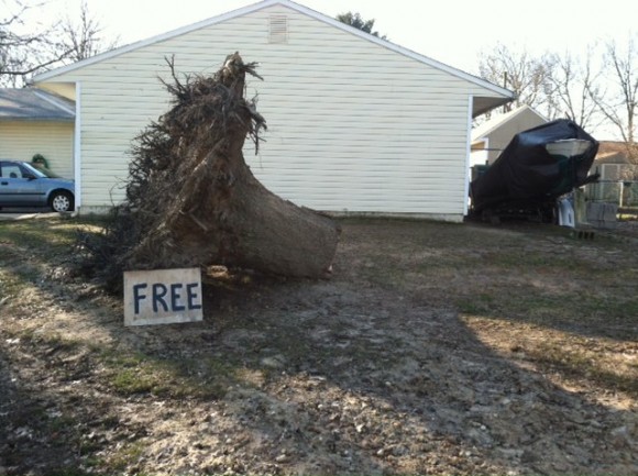 A stump is advertised as being for "free" at a home on Goldenridge Drive in the Levittown section of Bristol Township. (Kimberly Norton)