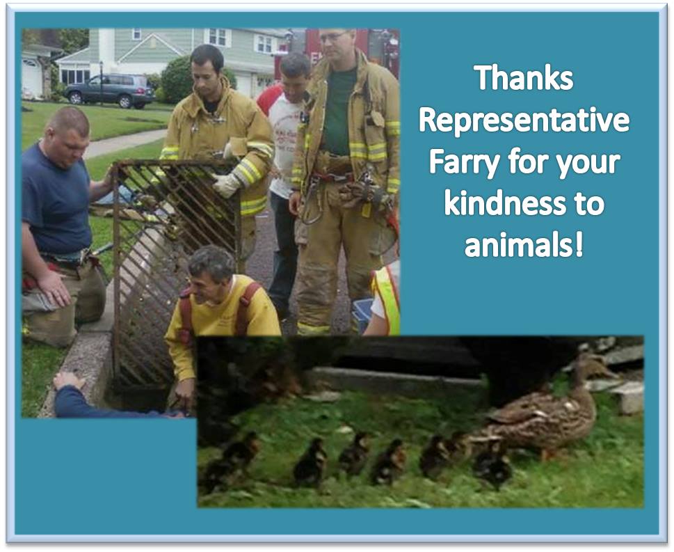 Firefighters Rescue Ducklings