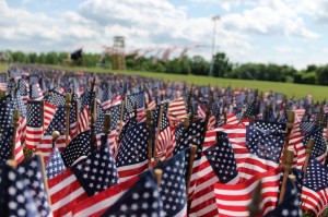 Some of the 65,000 flags in 2013. Credit: Tom Sofield/LevittownNow.com