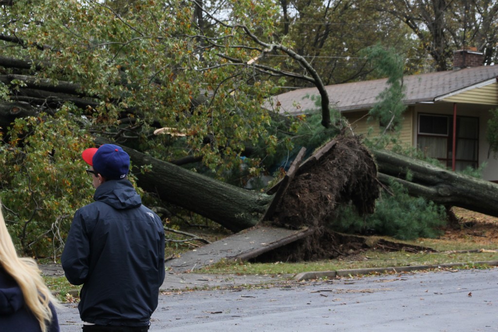 Department Issues Warning on Scams Following Storms