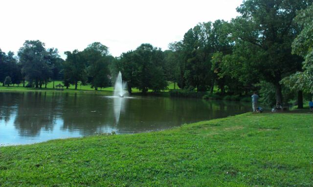 Pond Where Alligator Spotted Appeared Calm on Monday