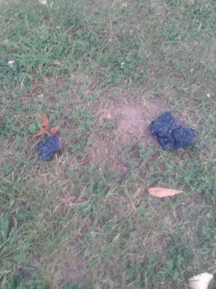 Ash that fell from the sky in Croydon. Credit: Rachael Kowalsky/Submitted