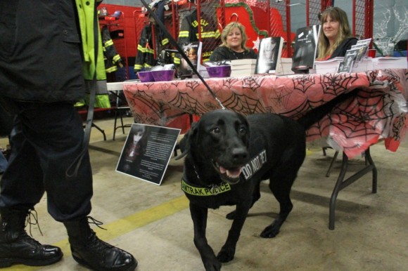 Amtrak police dog Hank Credit: Tom Sofield/LevittownNow.com