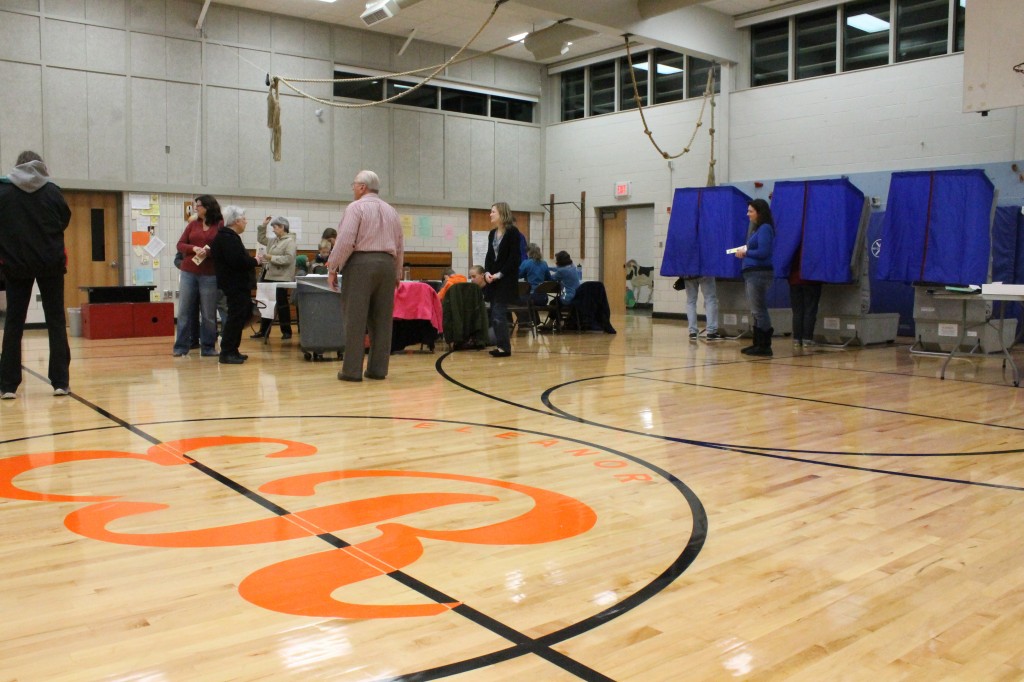 PHOTOS: Voters Turnout to Polling Places