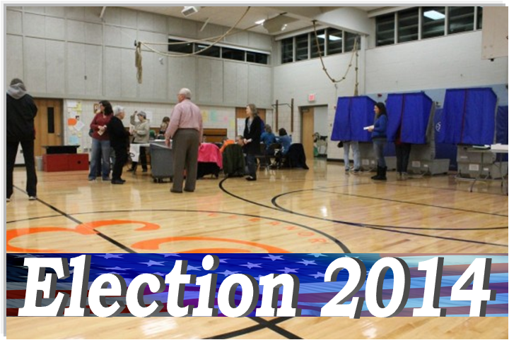 State & County General Election 2013 Resuts