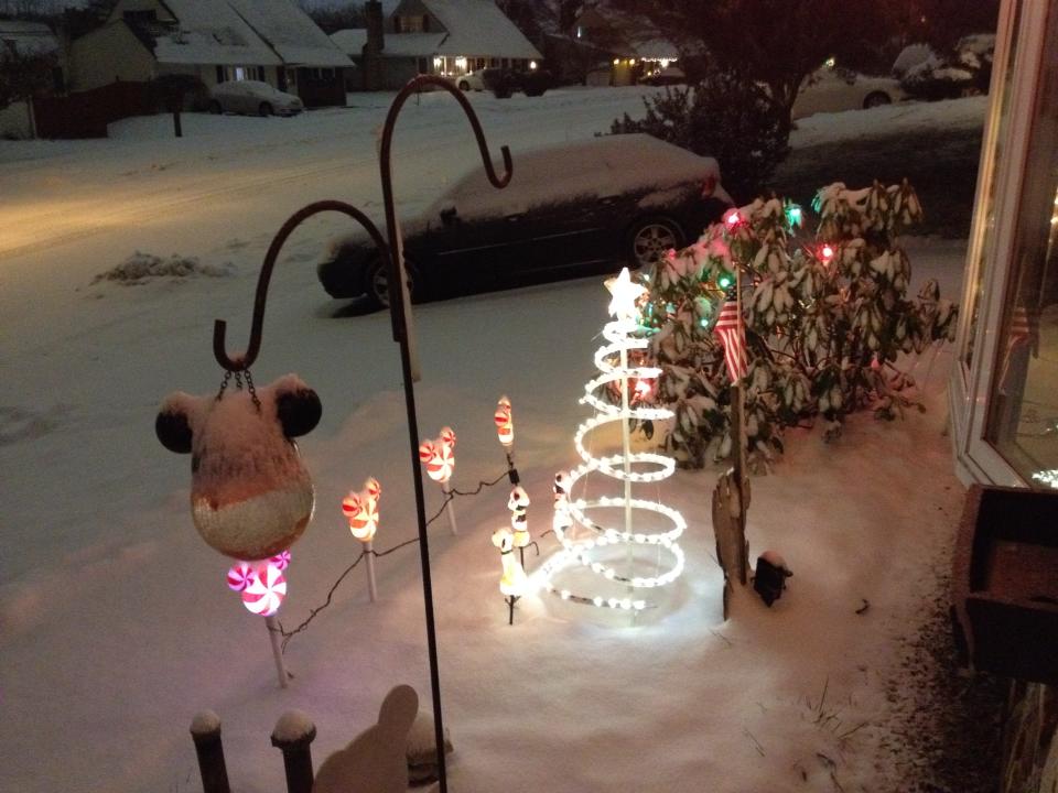 PHOTOS: Snow & Ice Coat Levittown