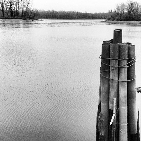 A view from an old dock along the Delaware River in Falls Township on Saturday afternoon. Credit: Tom Sofield/LevittownNow.com