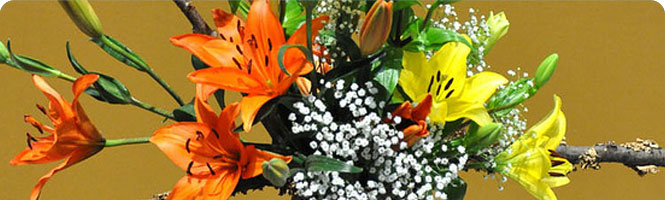 SEPTA Offers Offers an Early Dose of Spring For Riders Traveling to Flower Show