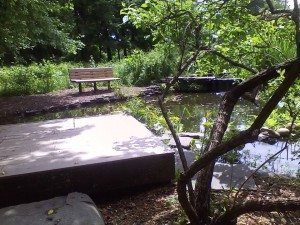 Credit: Silver Lake Nature Center