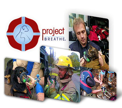 Oxygen Masks to Help Revive Pets After Fires Being Donated