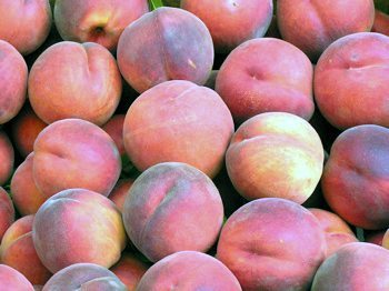 Bristol Hosting Peach Social, Tours of Grundy Museum