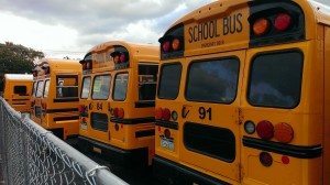 Bristol Township School District buses recently. Credit: Tom Sofield/LevittownNow.com