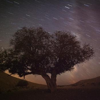How To Watch Perseid Meteor Shower