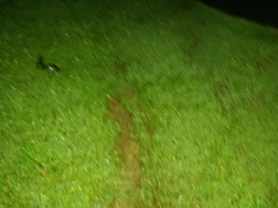Motorcycle Accident in Bristol Twp. Sends Man to Hospital