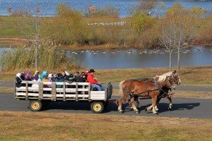 The Falls Township Fall Festival held at Falls Township Community Park in 2014. Credit: Cindy Johnson/Submitted