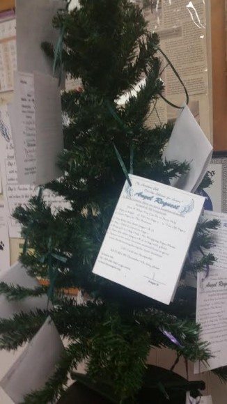 Image Credit: Jeff Bohen LevittonNow.com Got Wine on Pond St in Bristol has one of the Gala's Angel Trees this year.