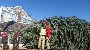 Workers bringing in the Bristol Borough Christmas tree recently. Credit: Jeff Bohen/LevittownNow.com