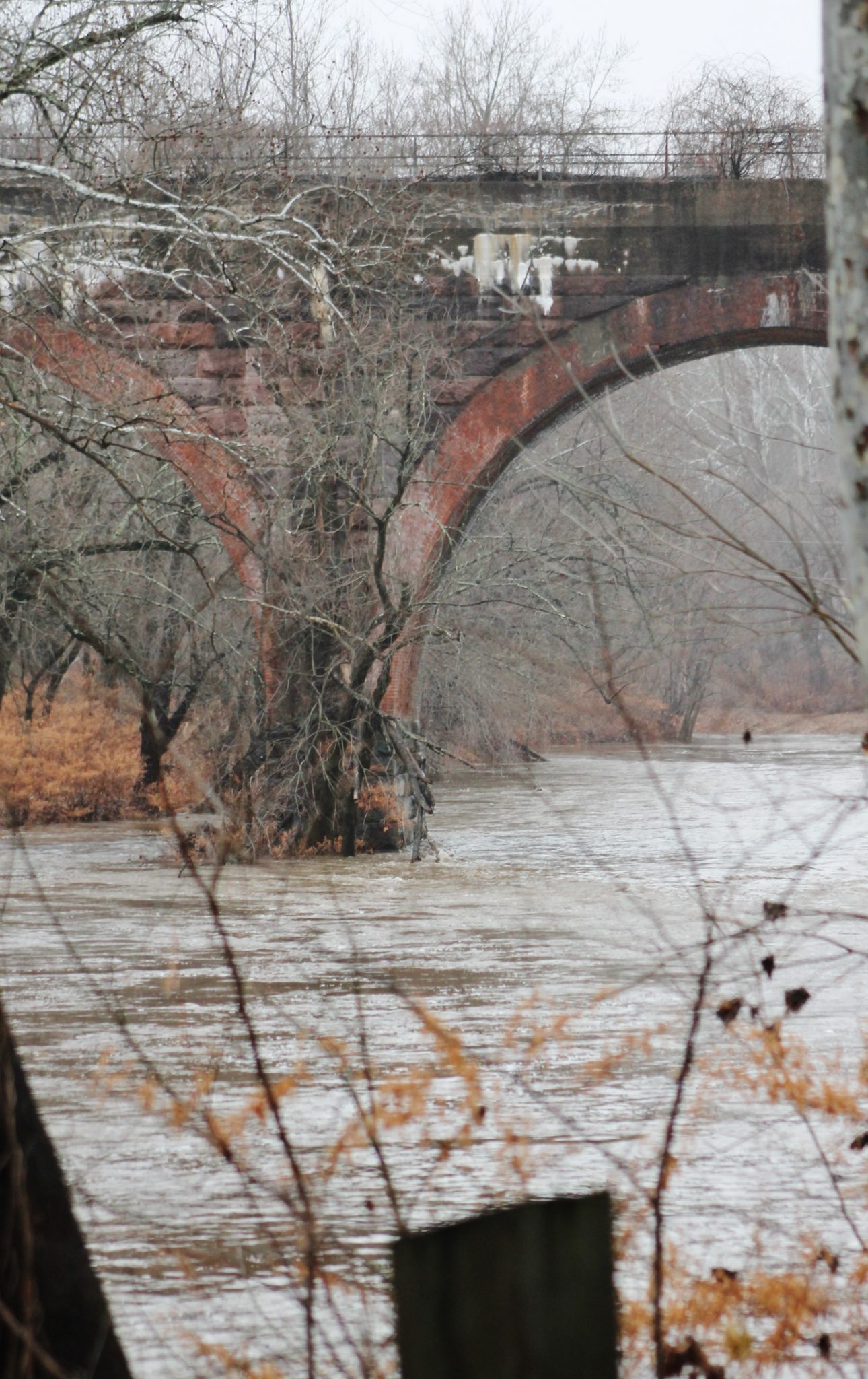 PHOTOS: Chilly Rain Soaks Area