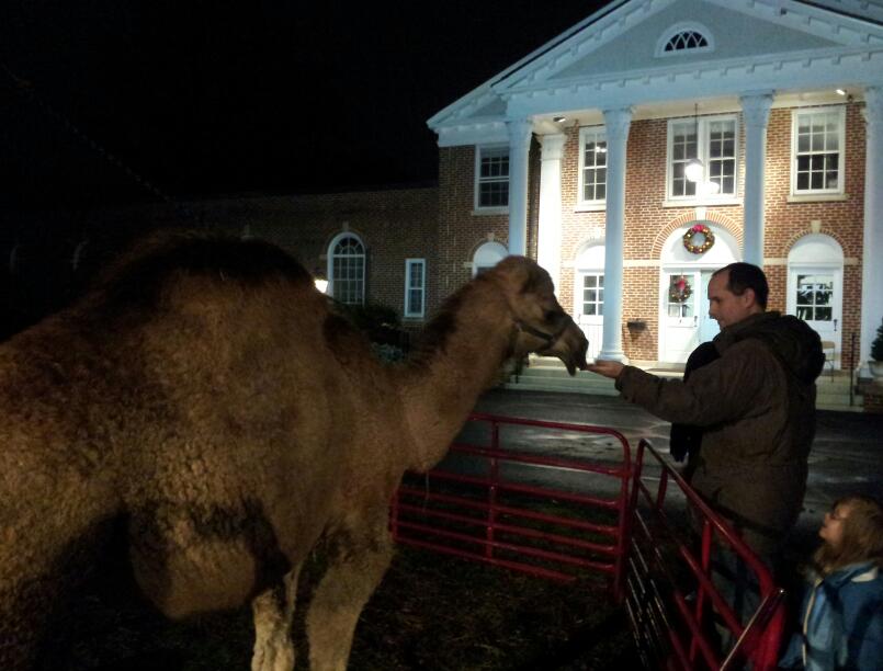 Churches Hosting Live Nativity Scenes