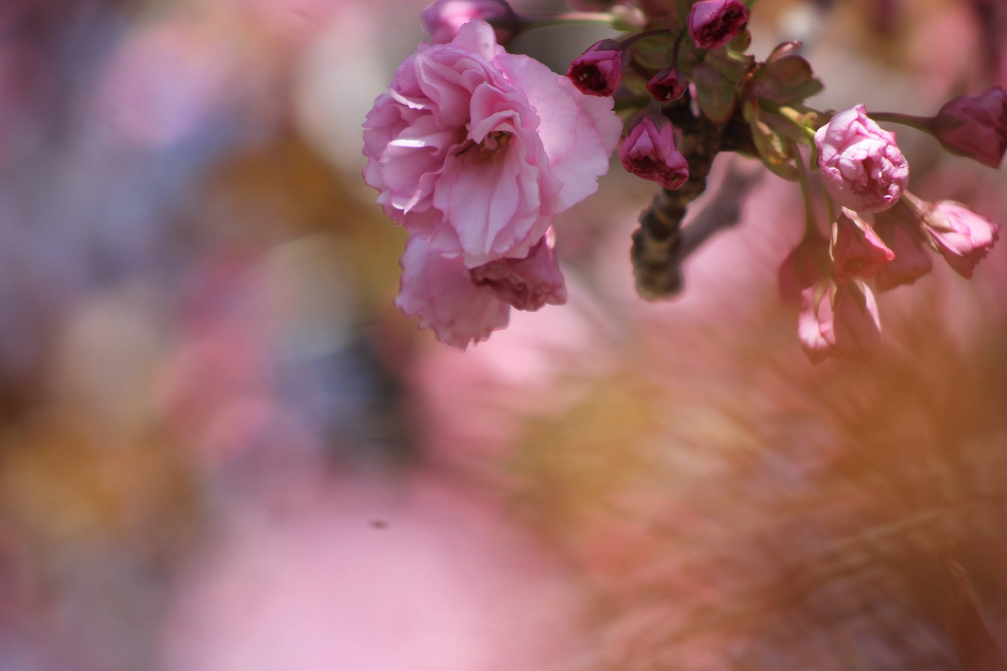 Tips For A Greener PA For Earth Week & Beyond