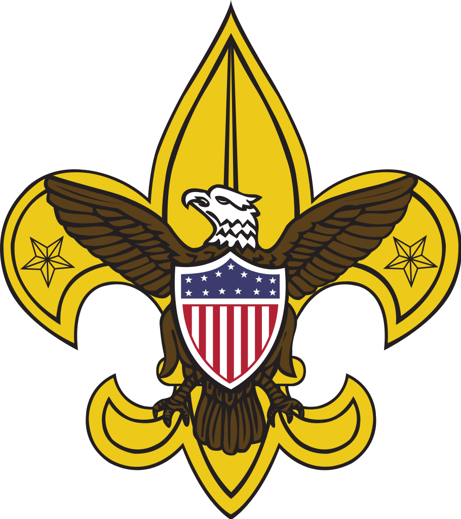 Boy Scouts To Begin Programs For Girls