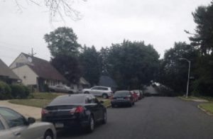 Unmarked police cars lined up outside the 30 block of Jumphill Road.  Credit: Submitted