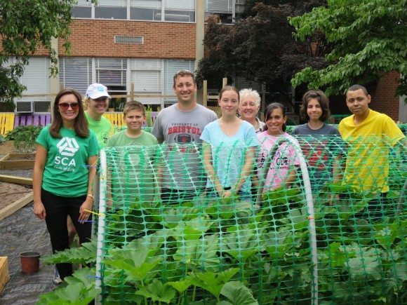 Standing behind the row of summer squash are, from left to right: Margo Fuerst, communications manager at SCA; Sheila MacIntyre, a 10th Grade Biology Teacher; Bristol HS students; Doug Braun, 8th grade social studies teacher at Bristol Middle School and co-chair of Garden & Green Technology Club; and Maria Doherty, 9th grade academic literacy teacher and co-chair of Garden & Green Technlogy Club. Credit: Submitted