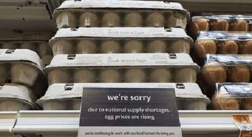 Eggs Prices Take Toll On Local Businesses
