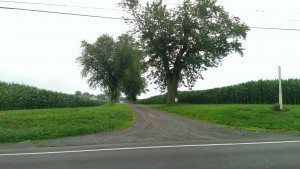 A driveway at the Stone Farm in Middletown's Langhorne section. Credit: Tom Sofield/LevittownNow.com