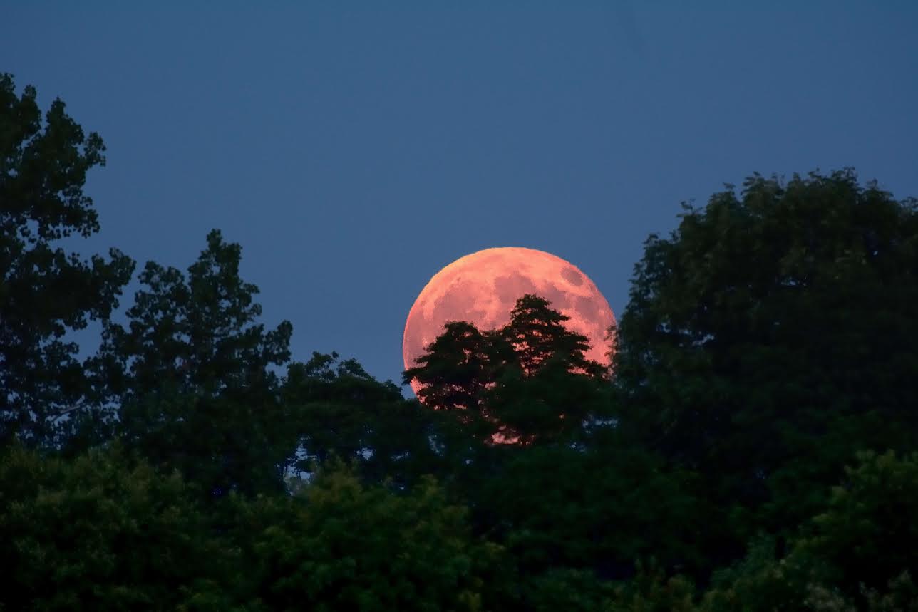 Photographer Captures Weekend Blue Moon