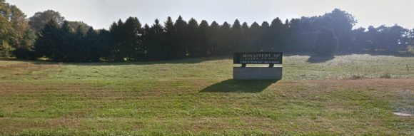 The reclusive group of nuns are licated behind this wall of trees. Credit: Google Maps