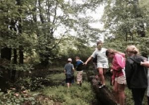 Kids at a summer camp at the nature center. Credit: Silver Lake Nature Center