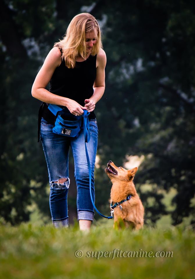 Bristol Twp. Woman To Bring Dog Training To Falls Park