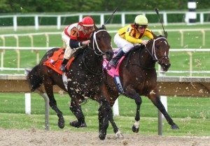 Horserace_520133030