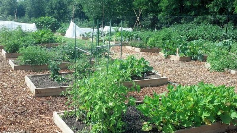 Falls Twp. Seeks To Expand Community Garden With PECO Grant
