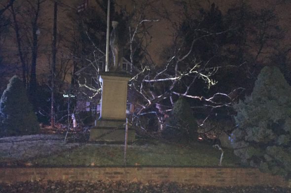 Tree Brings Down Utility Poles In Fallsington