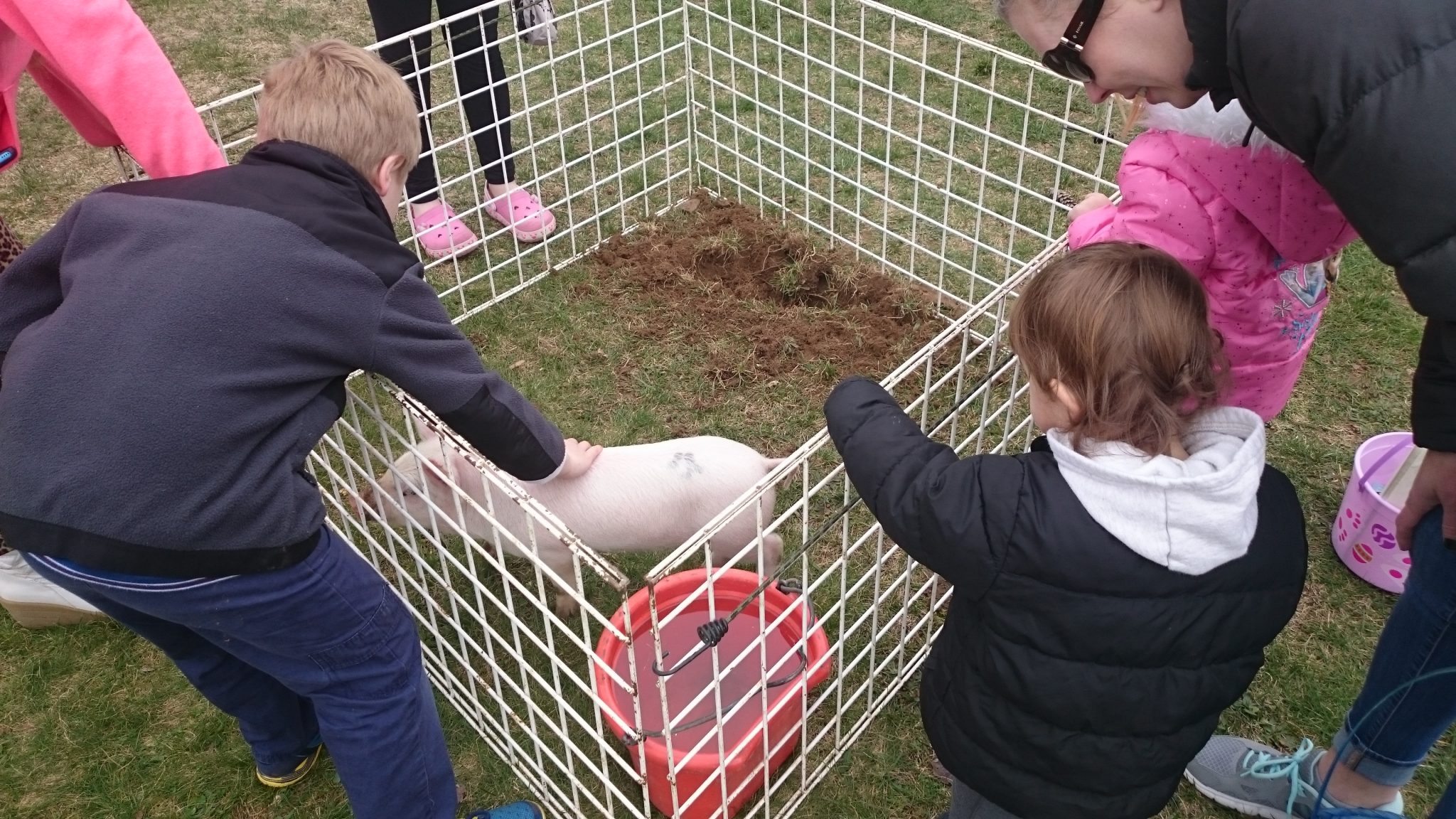 Hundreds Turnout For Levittown Eggstravaganza