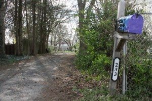 Credit: Tom Sofield/LevittownNow.com 