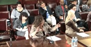 Councilwoman Amber Longhitano testifying. Credit: PCN