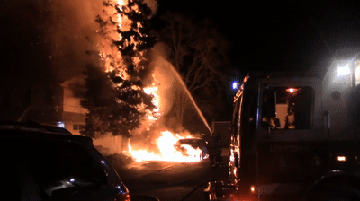Video Shows Arson Fire That Climbed Large Tree