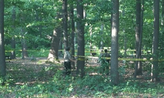 NEARBY: Father, Young Son Hurt When Tree Limb Falls On Them