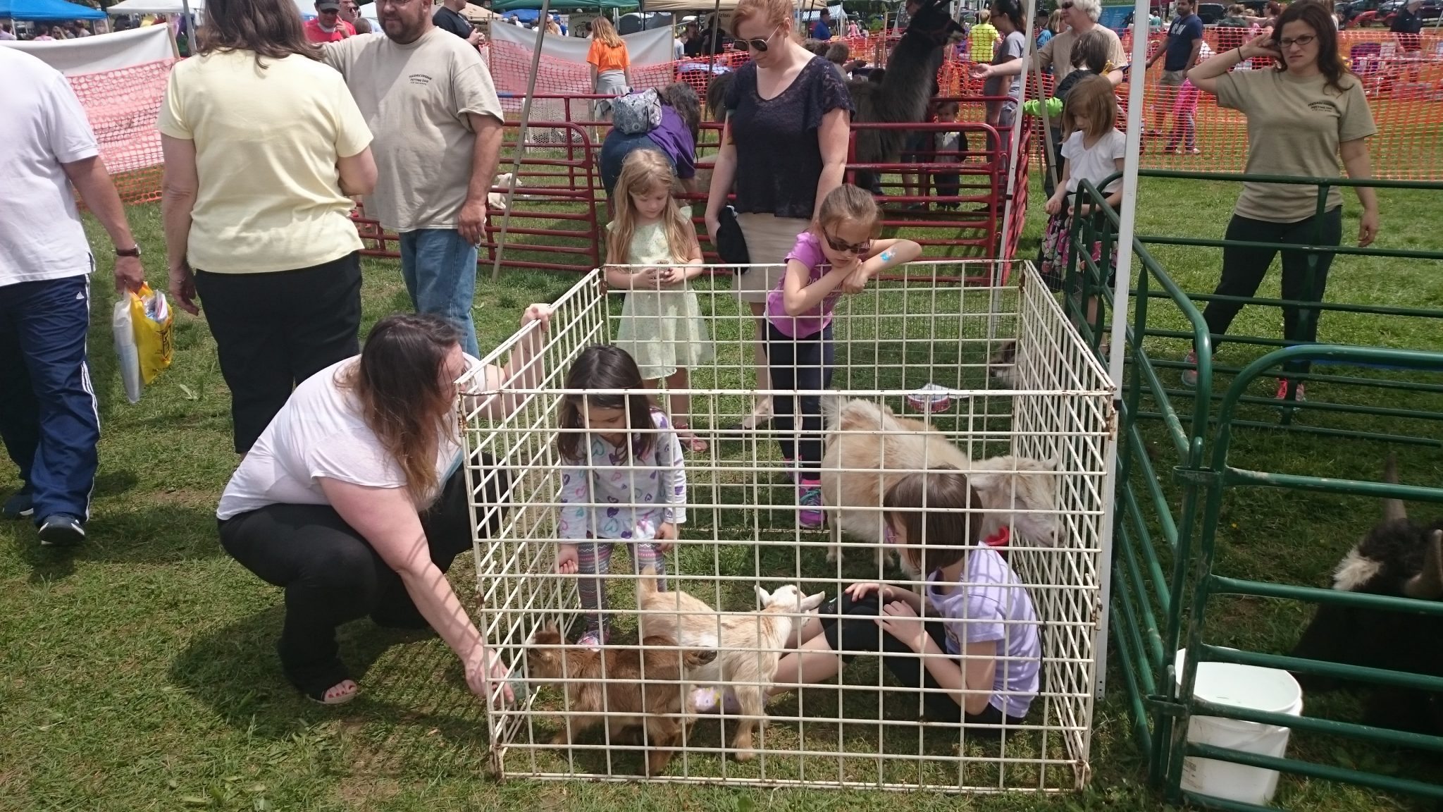 Langhorne Rotary Pet Fair This Saturday