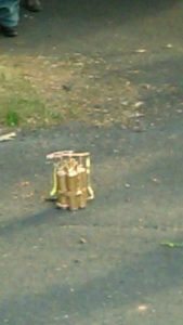 An image of the device. Credit: Brian Downs