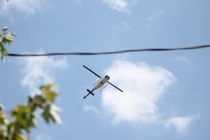 A New Jersey State Police helicopter searching Langhorne. Credit: Tom Sofield/LevittownNow.com
