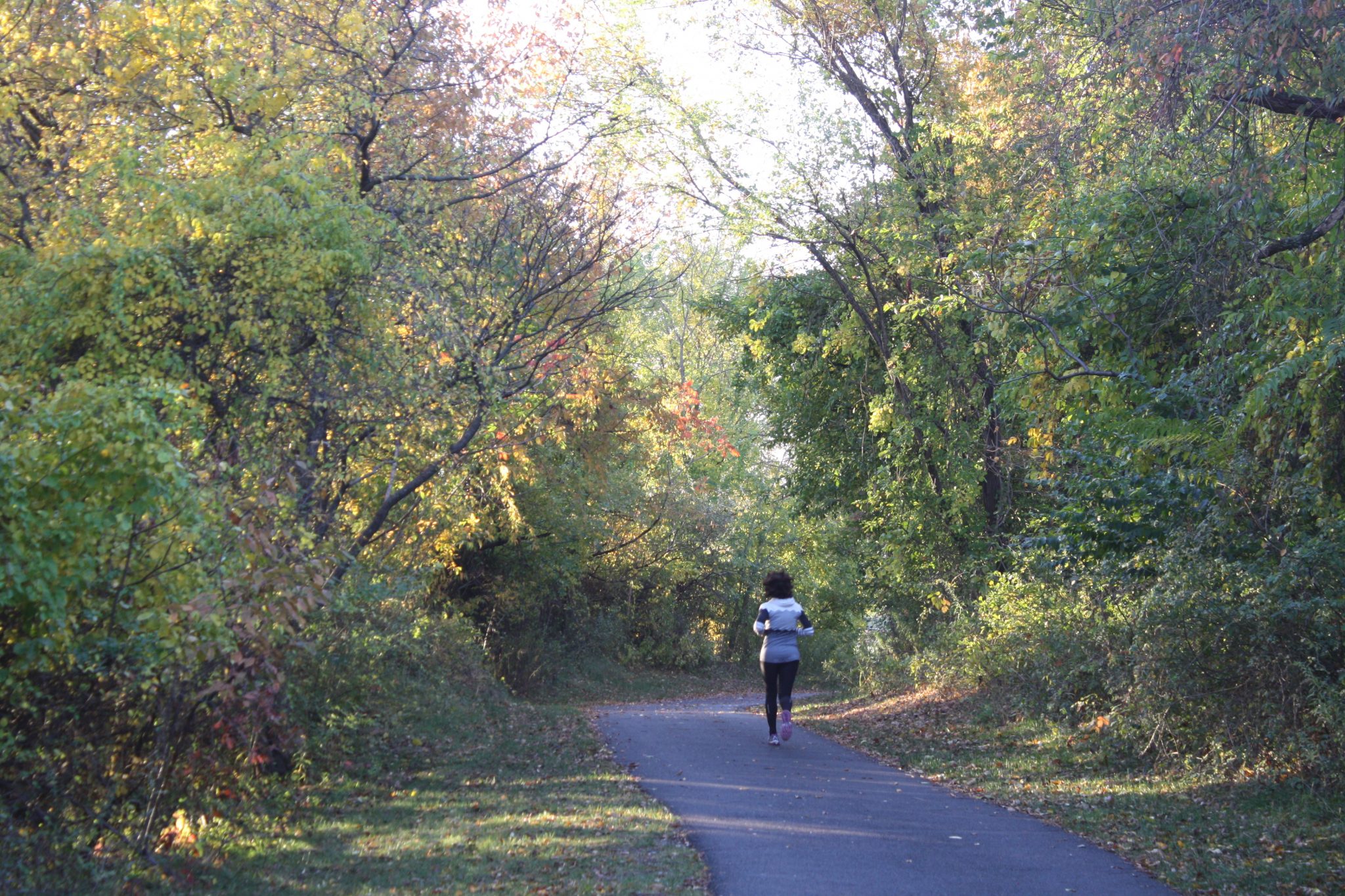 PHOTOS: Fall Morning At The Community Park